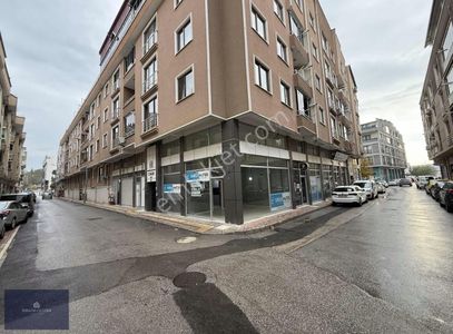 İşyeri-Dükkan & Mağaza