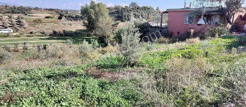 Köy İçi Kupon Arsa