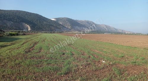 Akhisar Hürriyet Mah. Yatırımlık Arazi