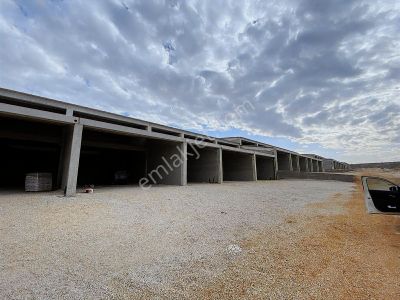 İşyeri-Dükkan & Mağaza