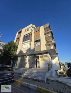 İşyeri-Dükkan & Mağaza