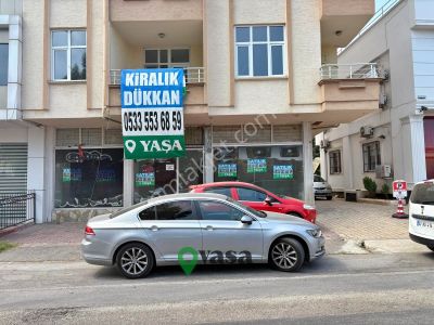 İşyeri-Dükkan & Mağaza