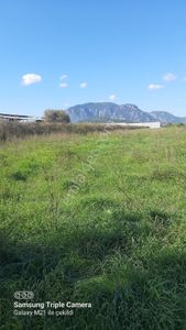 Fevziyede Yerleşim İçi 4837 M2