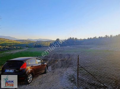 Arsa-Özel Kullanım