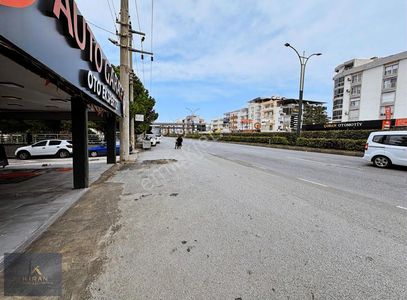 İşyeri-Dükkan & Mağaza