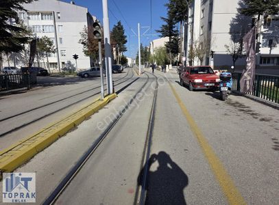 İşyeri-Dükkan & Mağaza