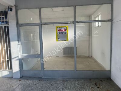 İşyeri-Dükkan & Mağaza