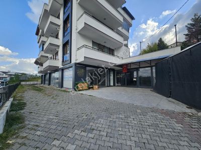 İşyeri-Dükkan & Mağaza