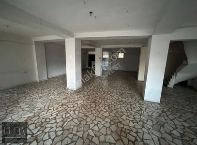 İşyeri-Dükkan & Mağaza