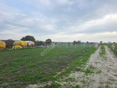 Kapaklı Pınarçada Satılık 250m2 Yatırıma Uygun Kupon Hisse