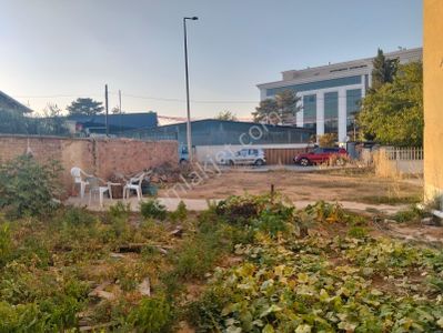 Arsa-Konut+Ticaret Alanı