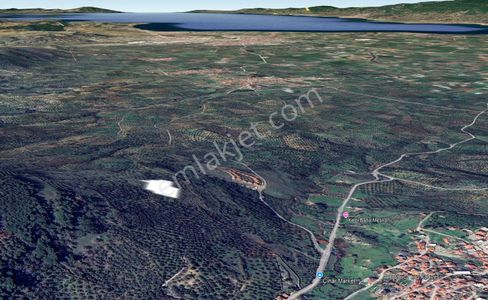 Golden Globy, Burhaniye Dutluca'da Harika Deniz Manzaralı Satılık 5,5 Dönüm Tarla/zeytinlik