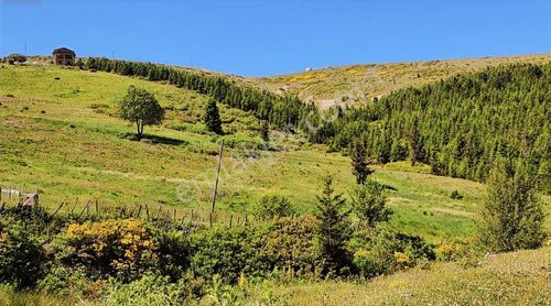 Arsa-Turizm/Konut Alanı