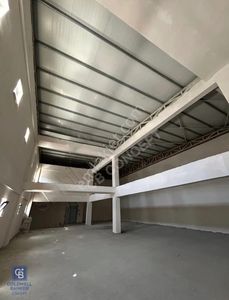 İşyeri-Dükkan & Mağaza