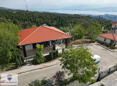 İşyeri-Dükkan & Mağaza