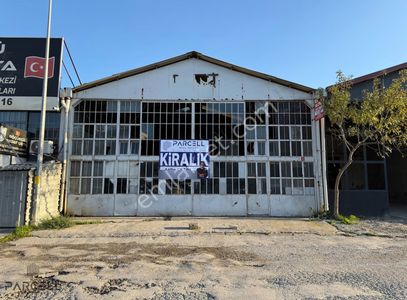 İşyeri-Dükkan & Mağaza