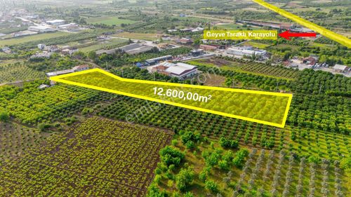 Arsa-Konut+Ticaret Alanı