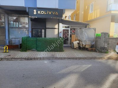 İşyeri-Dükkan & Mağaza