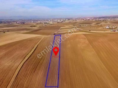 /lider Gayrimenkul'den 9789m2 Tek Tapu Kadastro Yolu Olan Tarla/