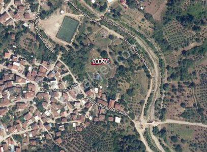 C21 Cius; Muratoba'da 384 M2 Köy İçi İmarlı