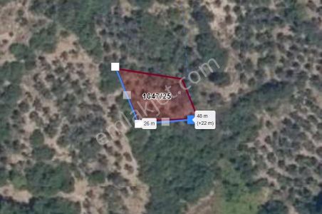 C21 Cius; Gemlik Muratoba'da 504 M2 Fırsat Zeytinlik