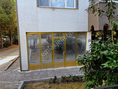 İşyeri-Dükkan & Mağaza