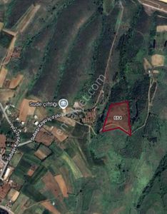 Cb Black'ten Karacabey Subaşı'da Harika Konumda Yatırımlık Tarla