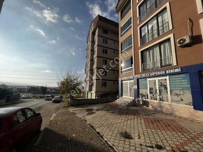 İşyeri-Dükkan & Mağaza