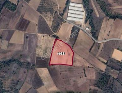 Cb Black'tan Karacabey Harmanlı'da 18.250 M2 Satılık Tarla