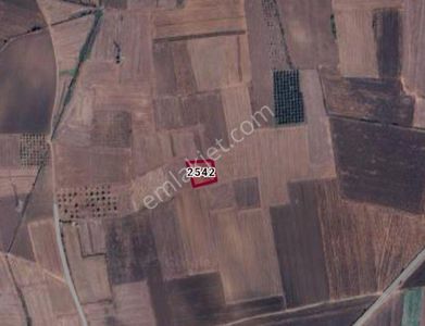 Cb Black'tan Karacabey Harmanlı'da 1700 M2 Satılık Tarla