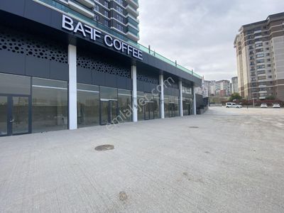 İşyeri-Dükkan & Mağaza