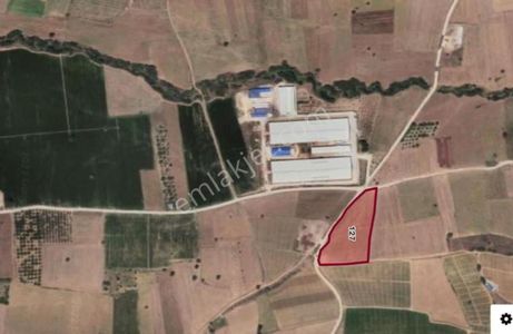 Arsa-Depo, Antrepo İzinli