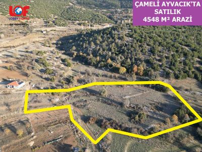 🦋lobby Fortis'ten Satılık Çameli Ayvacık'ta Satılık 4548 M² Tarla🦋