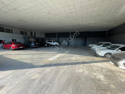 İşyeri-Dükkan & Mağaza