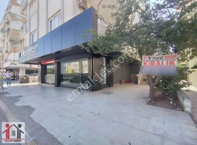 İşyeri-Dükkan & Mağaza