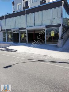 İşyeri-Dükkan & Mağaza