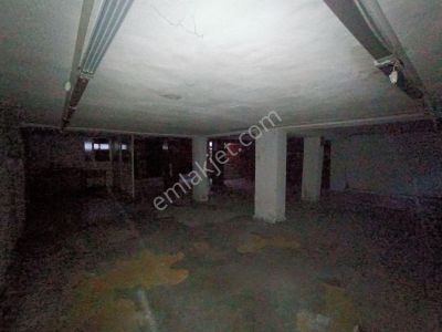 İşyeri-Dükkan & Mağaza