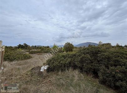 Didim Seyrantepede Acil Satılık Kupon Arsa