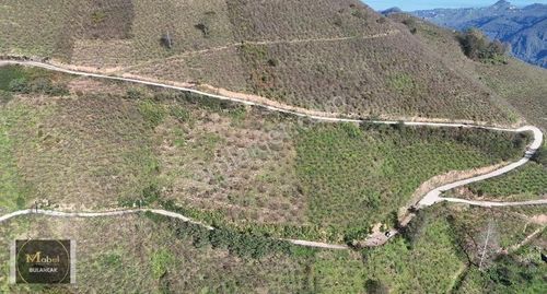 Mabel Gayrimenkul-şeyhmusa Köyü Fırsat Fındık Bahçesi