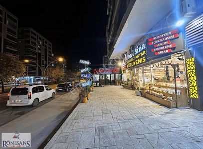 İşyeri-Dükkan & Mağaza