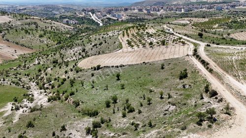 Hakev'den Ciritmeydan Da Bağ Evi Yapımına Uygun Arazi