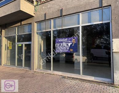 İşyeri-Dükkan & Mağaza