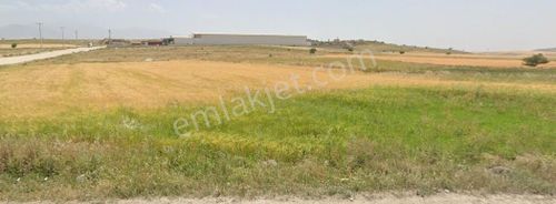 Honaz Dereçiftlikte Satılık 5000 M2 Sanayi Arsası