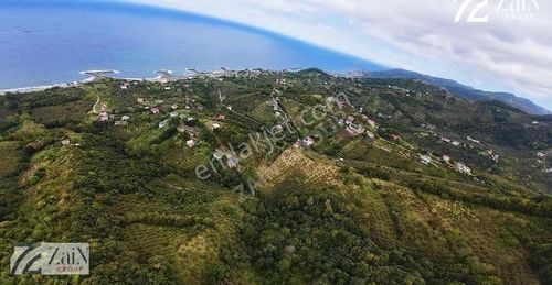 Zain Group'tan Kaleköy'de Turizm İmarlı Yatırımlık Fırsat Arsa