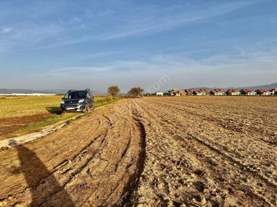 ▓zeytinli Gayrimenkul'den Sit Alanı Dışı Yatırımlık 296m2 Arsa