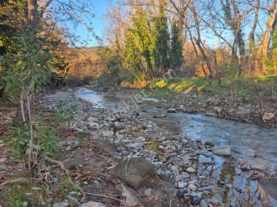 Golden Globy, Havran İnönü'de Satılık 5,5 Dönüm Bahçe