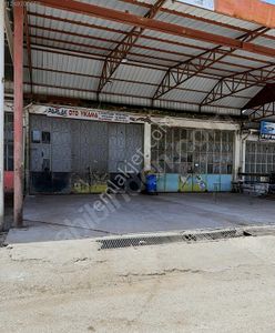 İşyeri-Dükkan & Mağaza