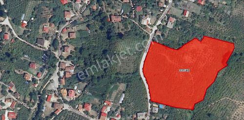 Arsa-Konut+Ticaret Alanı