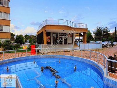 İşyeri-Dükkan & Mağaza