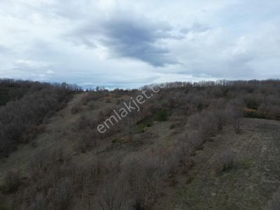 Arsa-Turizm/Konut Alanı